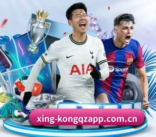 星空全站App APP 界面